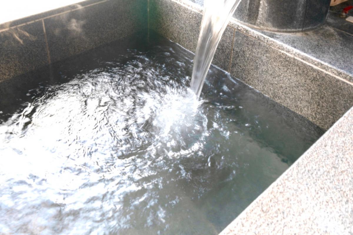 さわやかとよ田の里