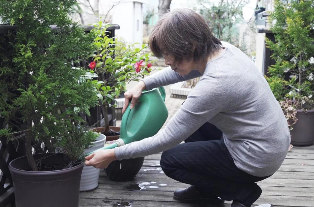 サンリスタアレーグレふじみ野