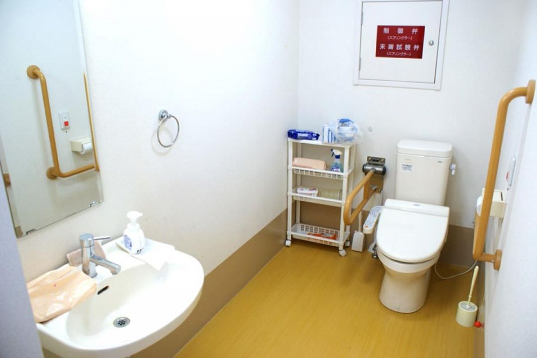 新緑 平野