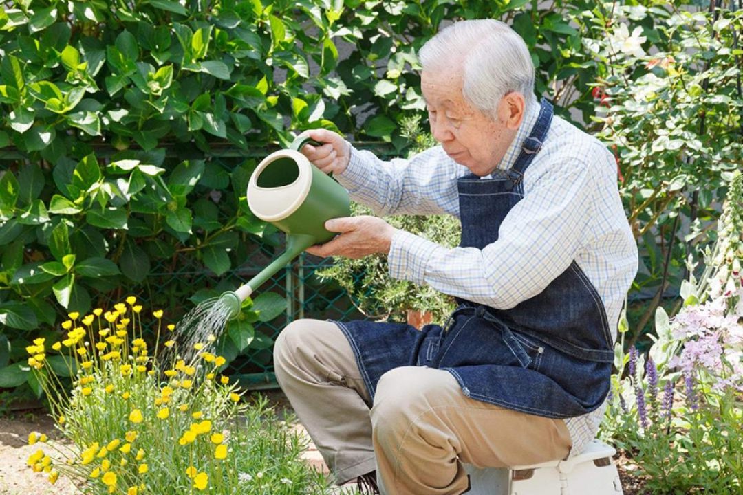 ハートランド宇都宮II