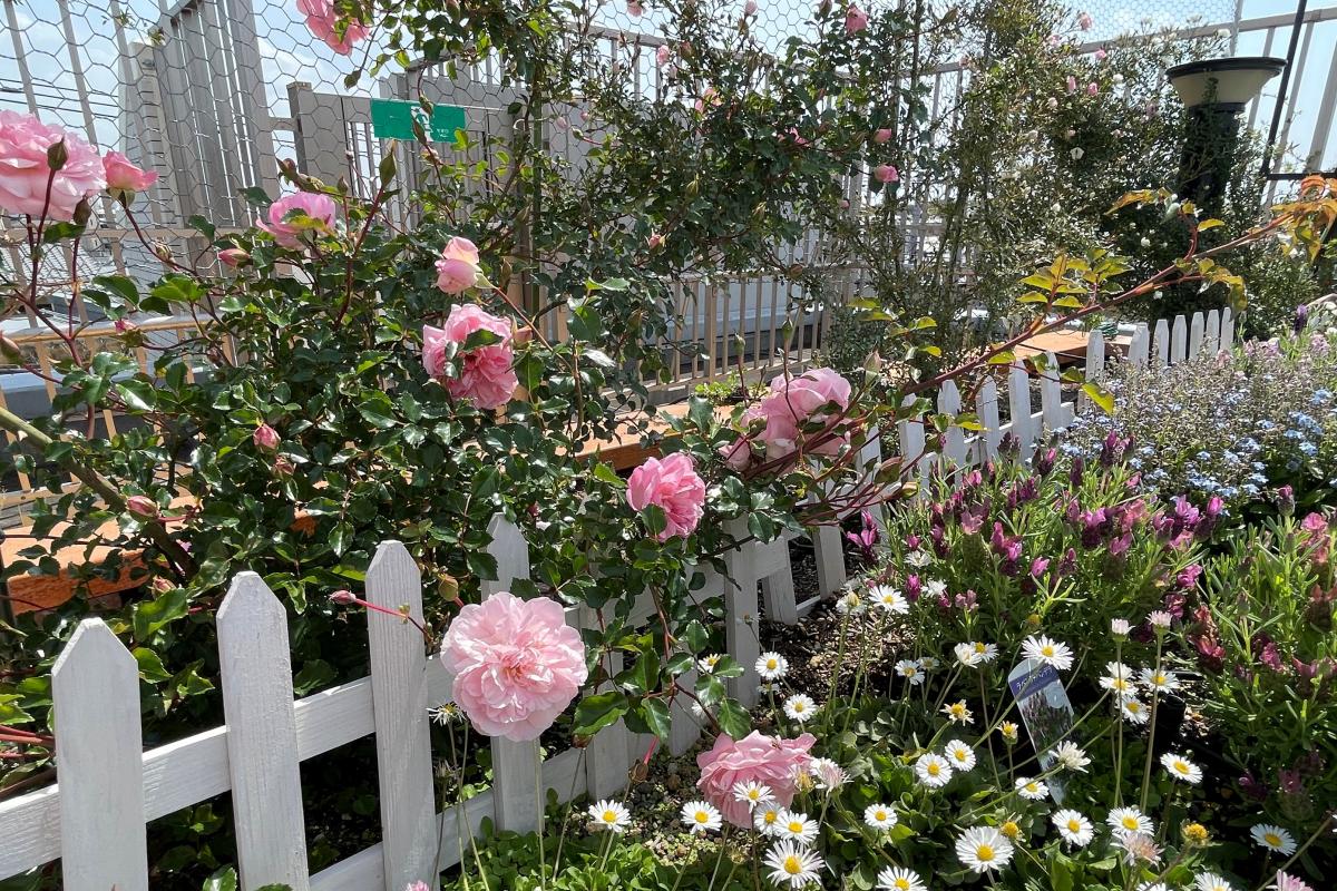 グランフォレスト氷川台の施設風景（13枚目）