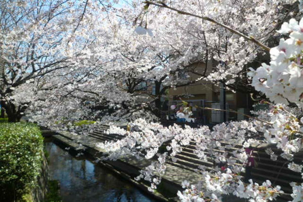 フローレンスケア宿河原