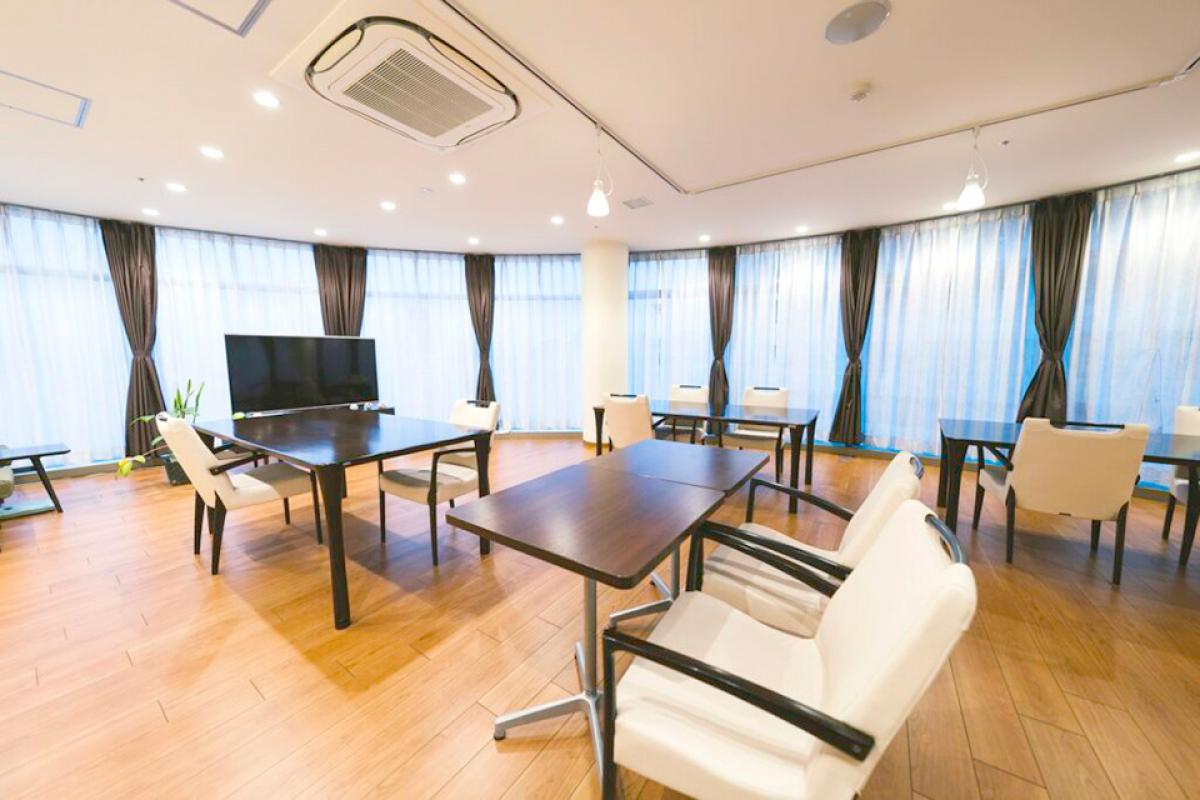 シニアコートビオラ