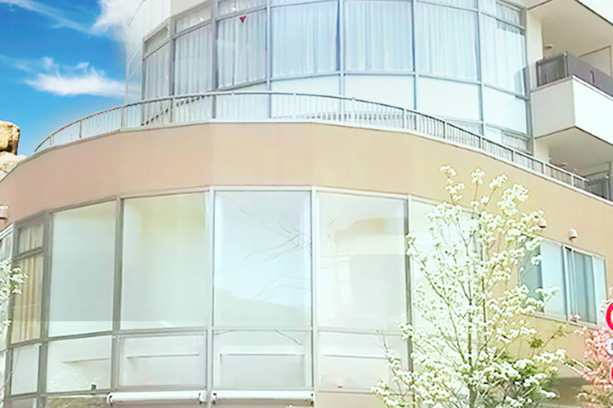 シニアコートビオラ