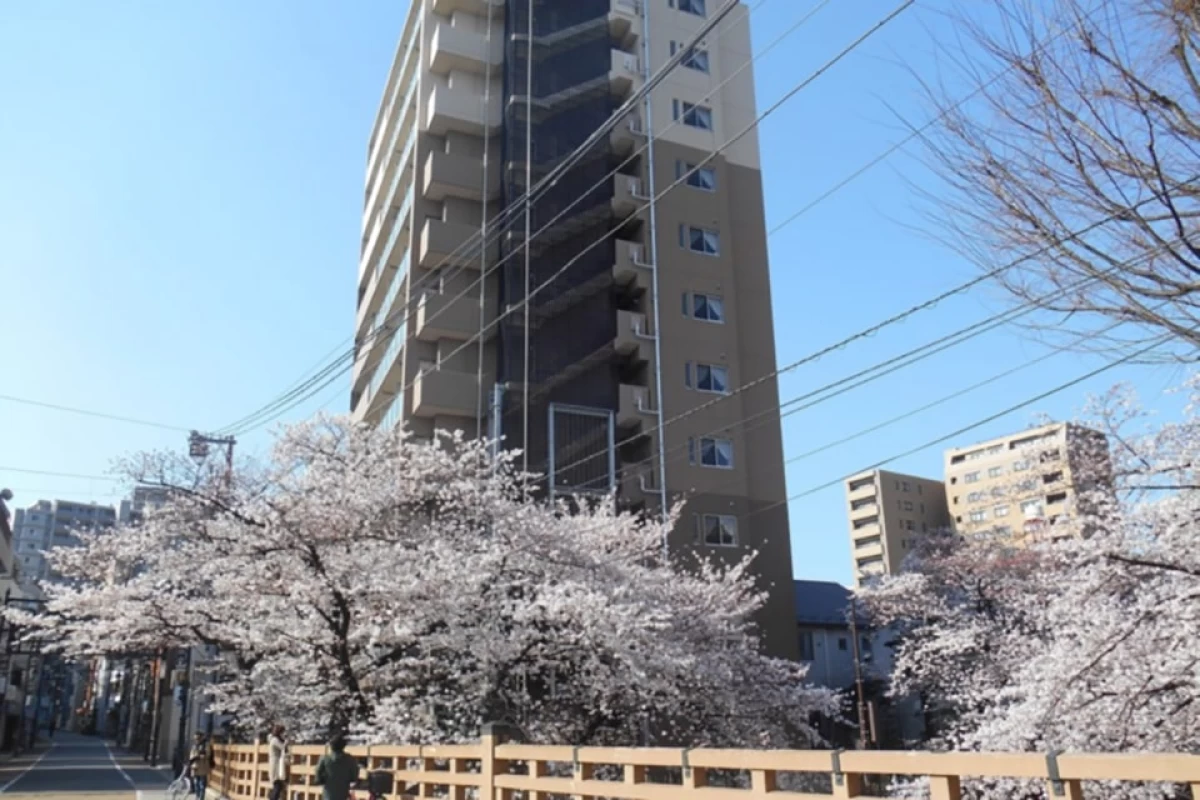 SOMPOケア そんぽの家S板橋仲宿