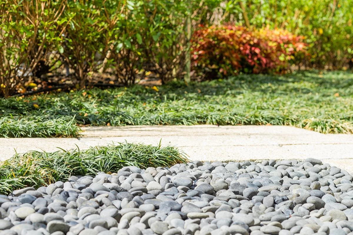 トラストガーデン常磐松