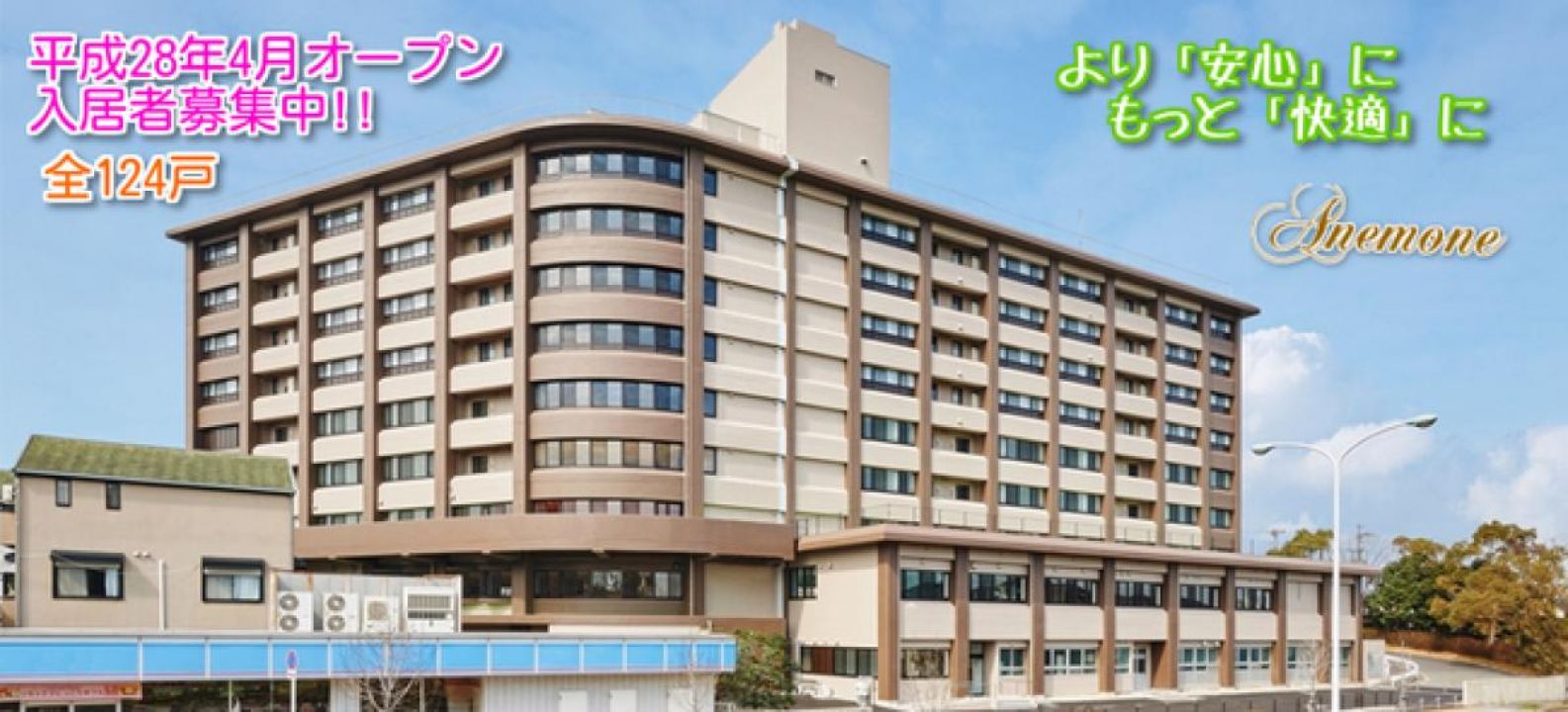 アネモネ