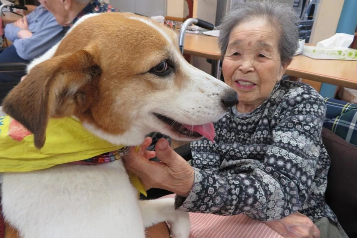 外出ツアー・施設内イベントも豊富