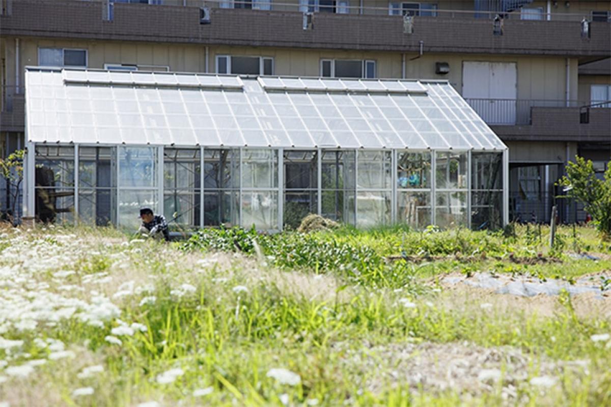 スーパーびゅー蓮花寺の施設風景（17枚目）
