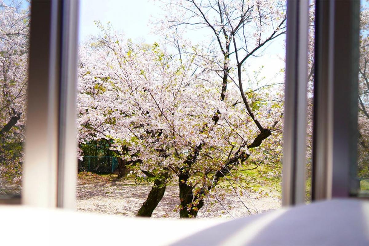 季節の行事、レクリエーションで充実の毎日を過ごせます