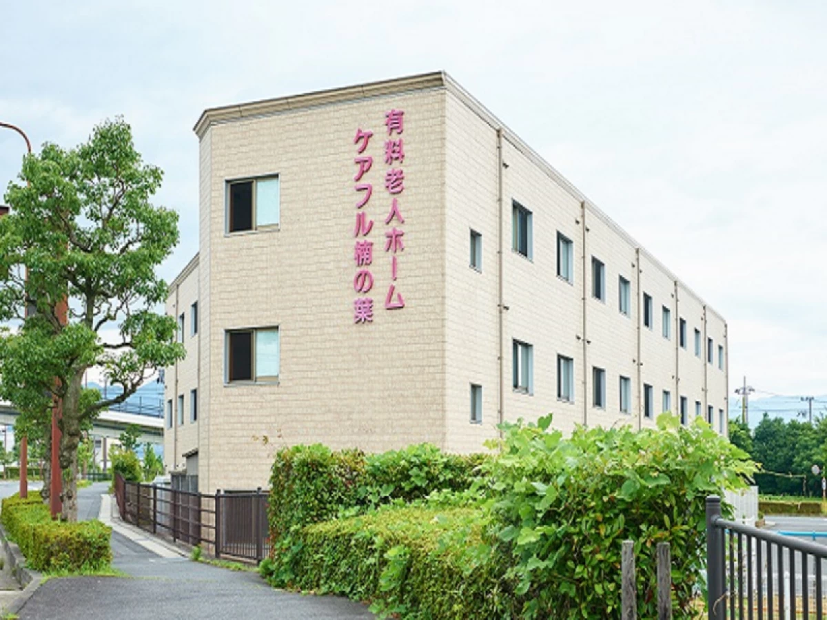 ケアフル楠の葉