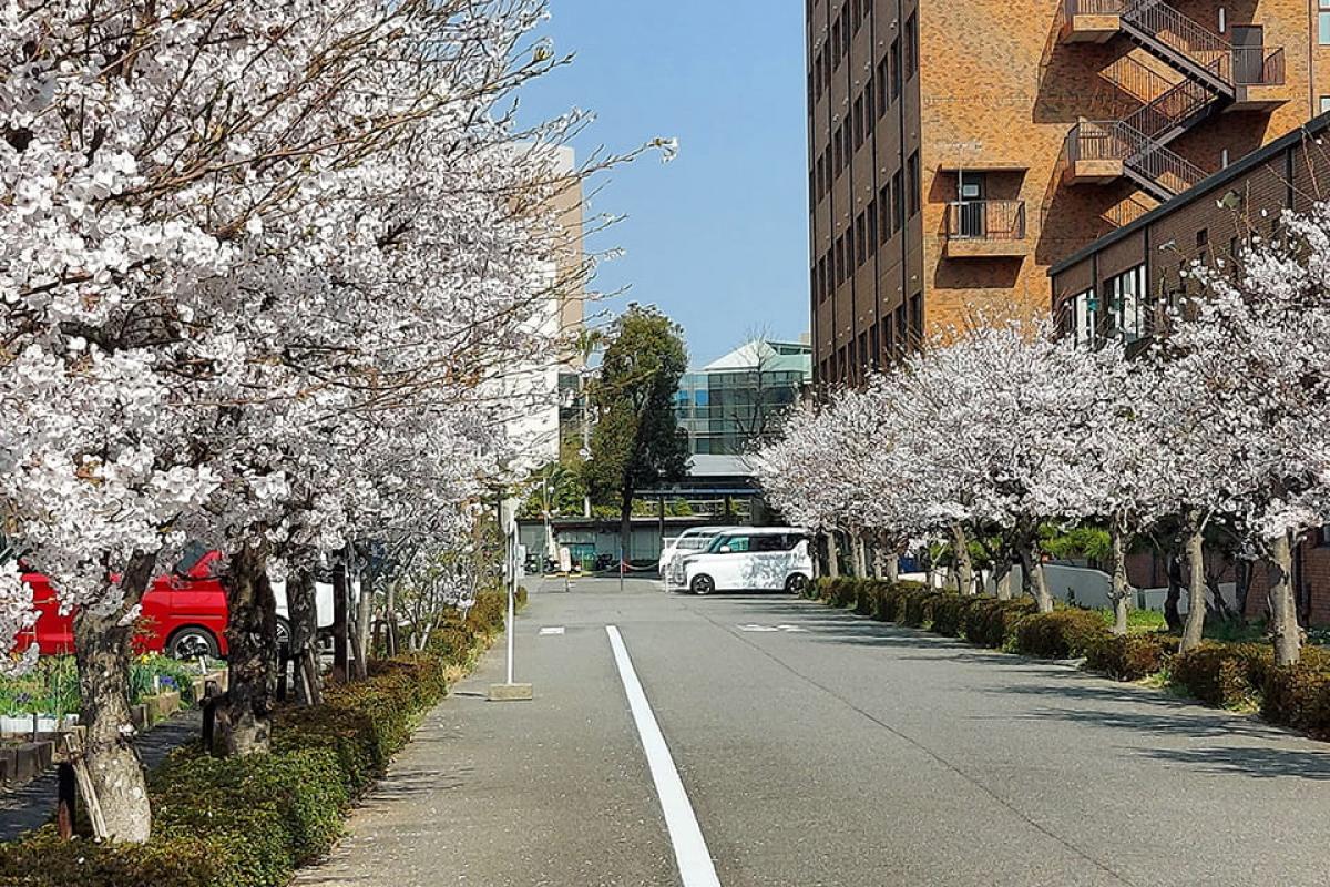 エリーネス須磨