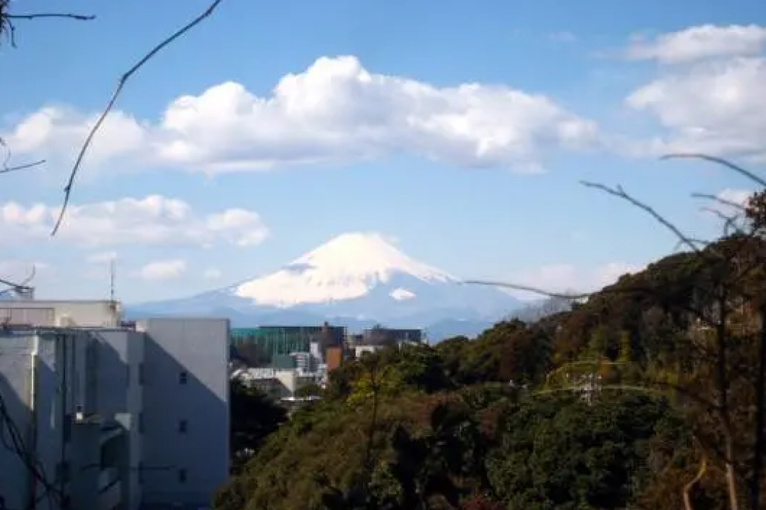 グランダ深沢・鎌倉