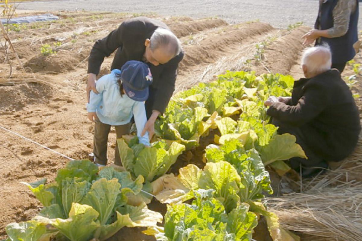 自然にエネルギーをもらいながら毎日を過ごせるホーム