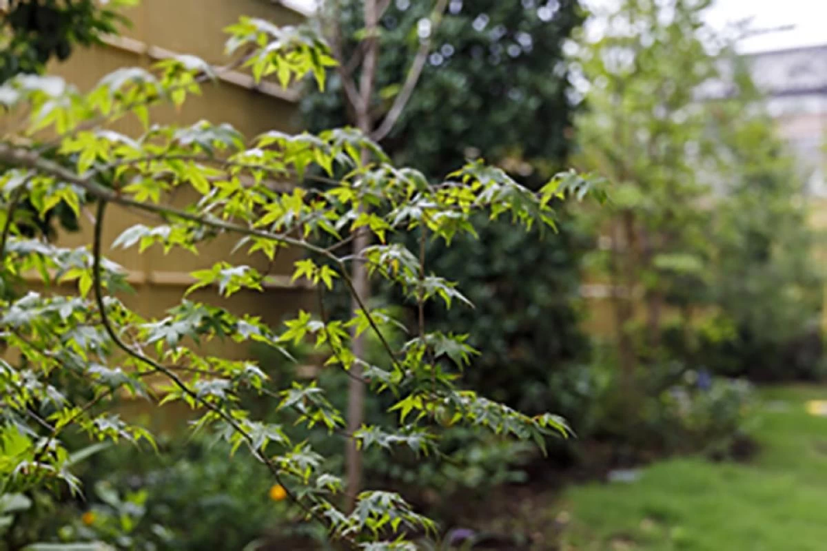 グランシア美女木