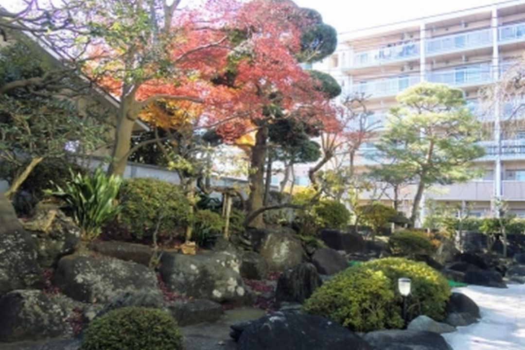 せらび芦花公園の施設風景（4枚目）
