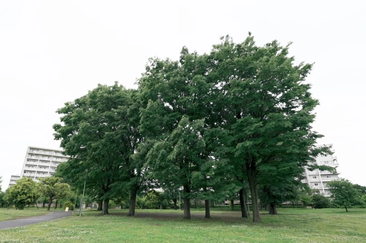 SOMPOケア ラヴィーレ上福岡