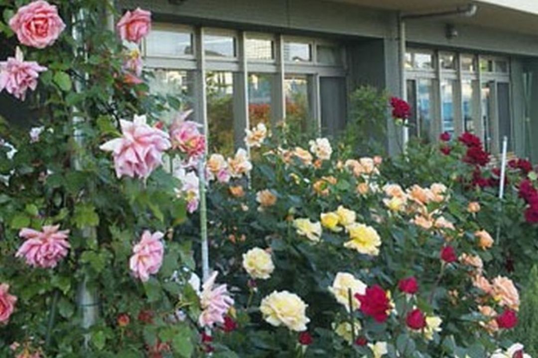 ベストライフ東村山II