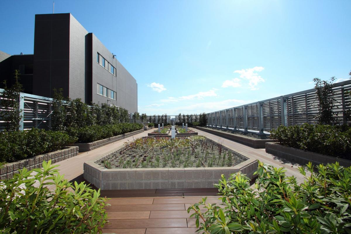 元気なシニアがもっとアクティブに過ごせるように