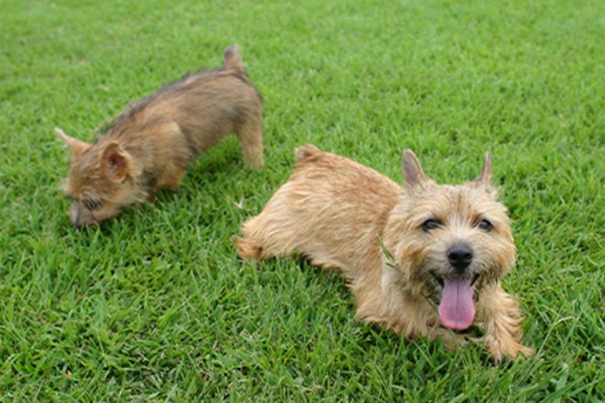 ディーフェスタクオーレ立川