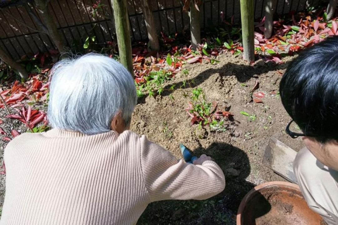 ニチイケアセンター麦野