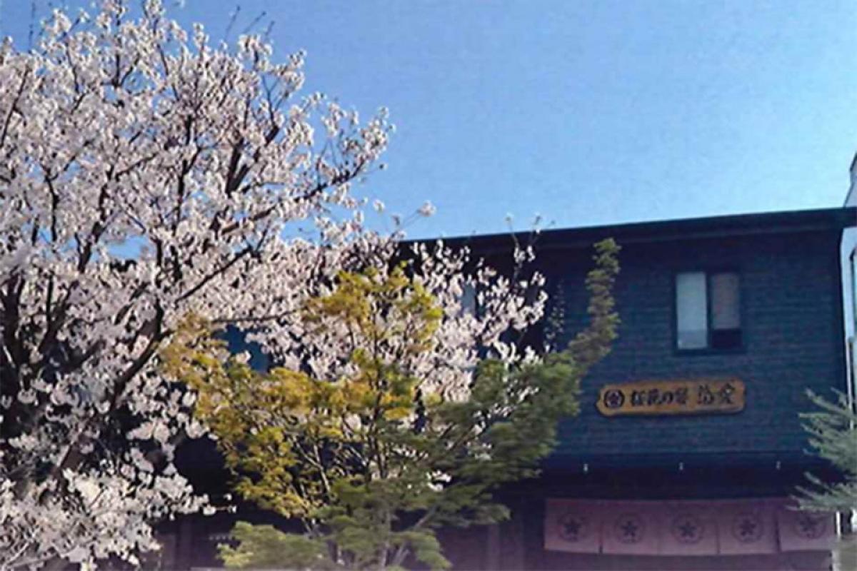 桜花の宴悠愛