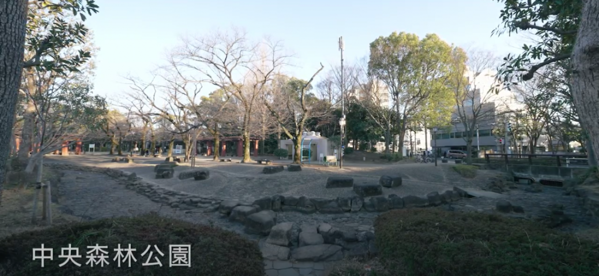 中央森林公園
