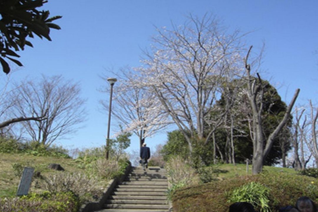 ベストライフ市ヶ尾