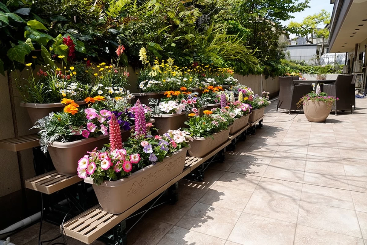 ファミリー・ホスピス高井戸ハウス