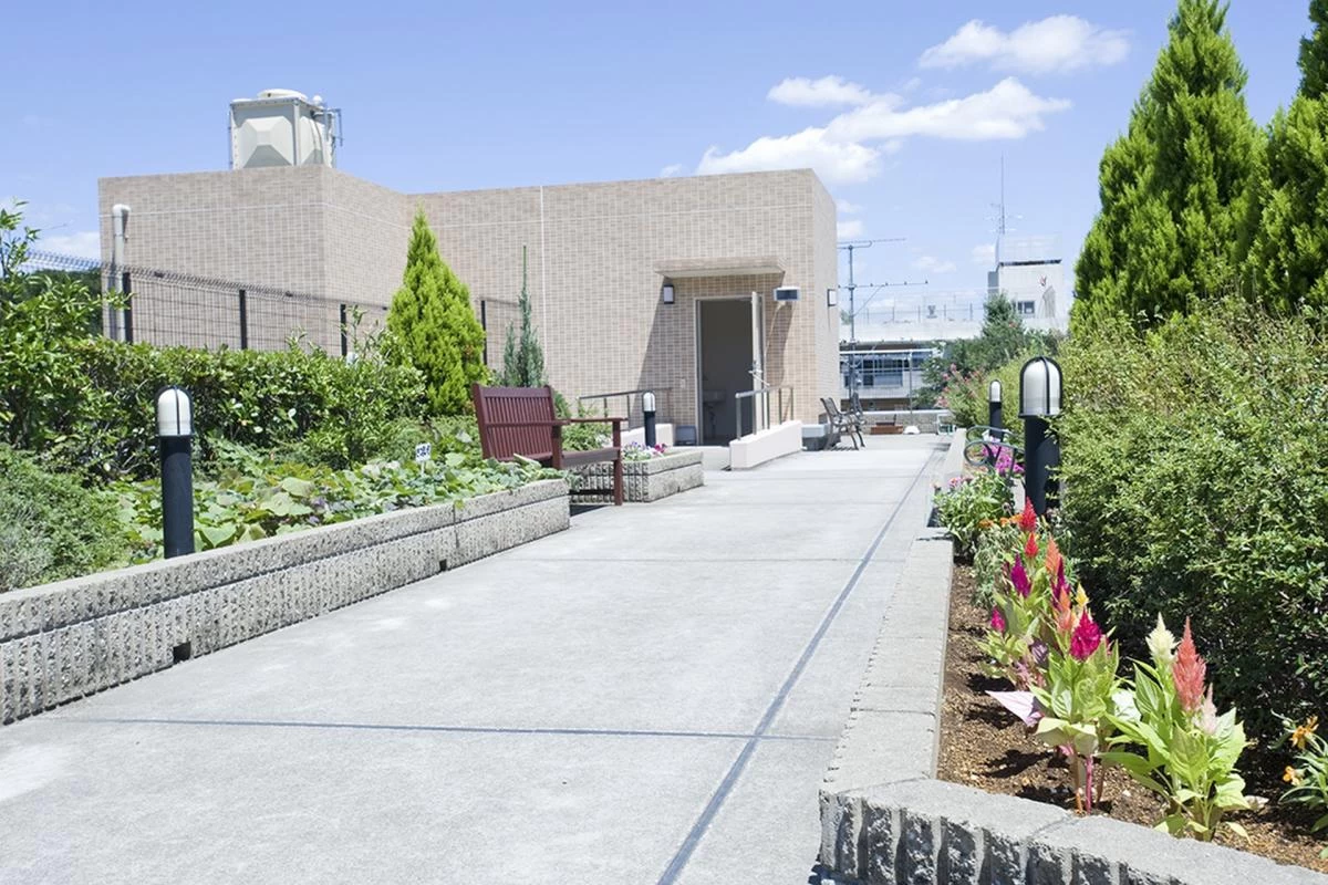 ルーフガーデン