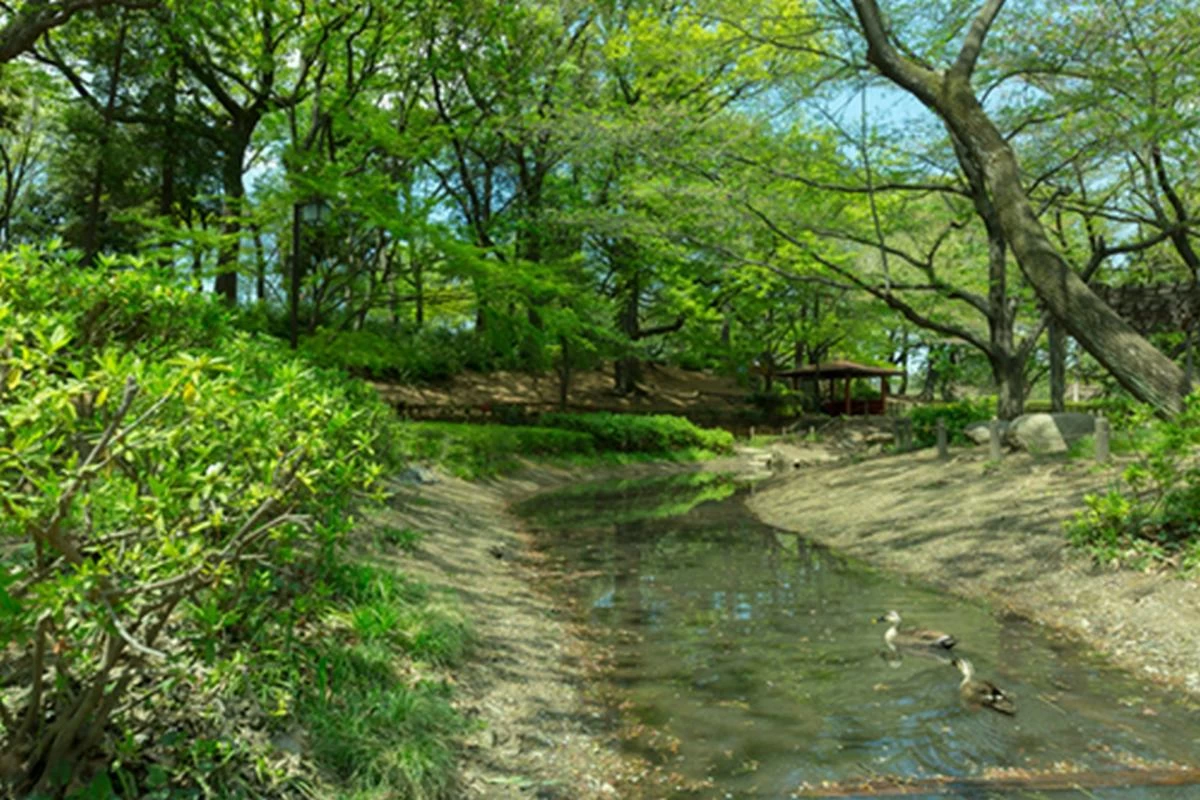 SOMPOケア ラヴィーレレジデンス世田谷千歳台