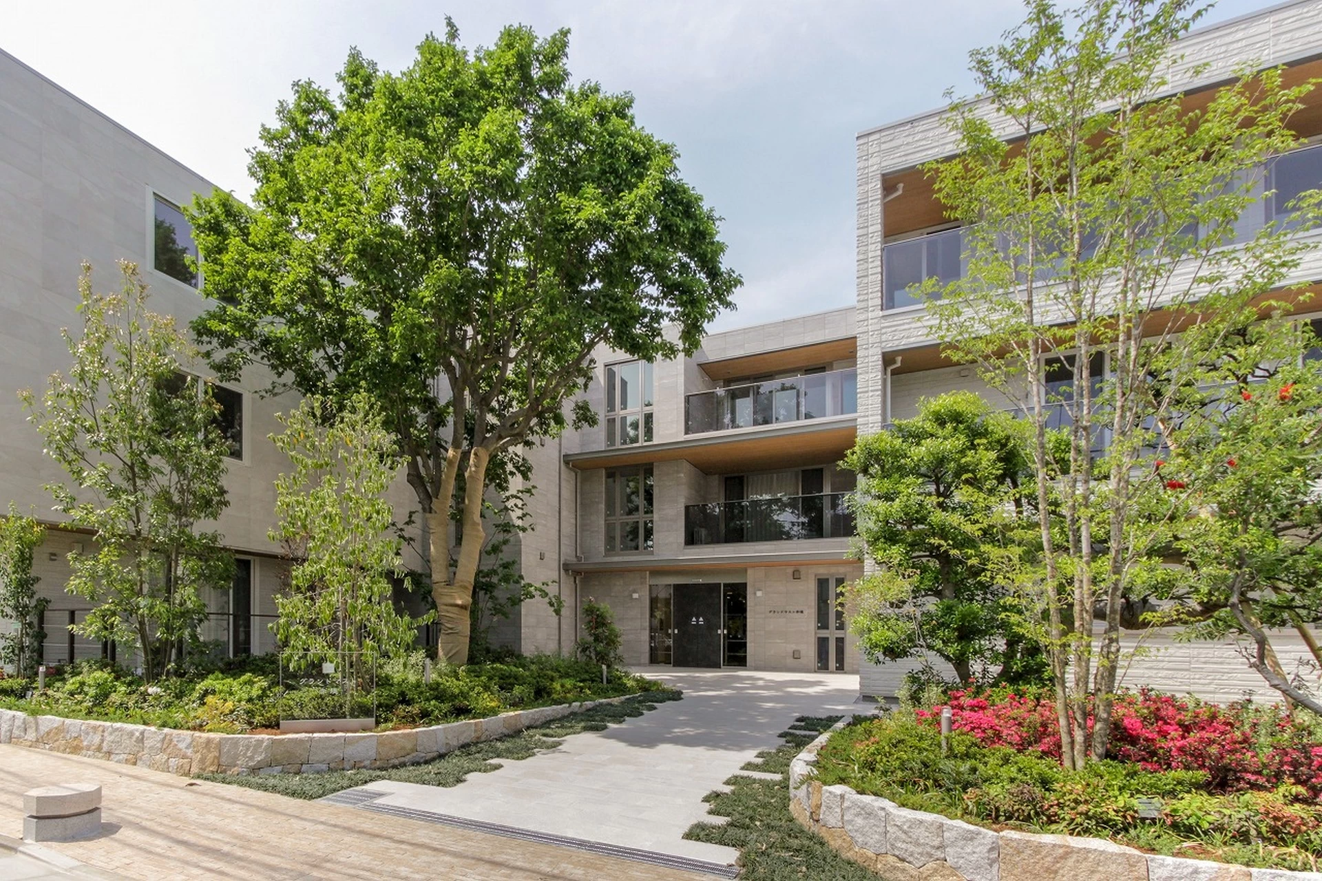 グランドマスト赤堤