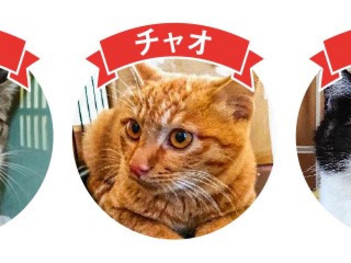 ウエリスオリーブ東村山富士見町