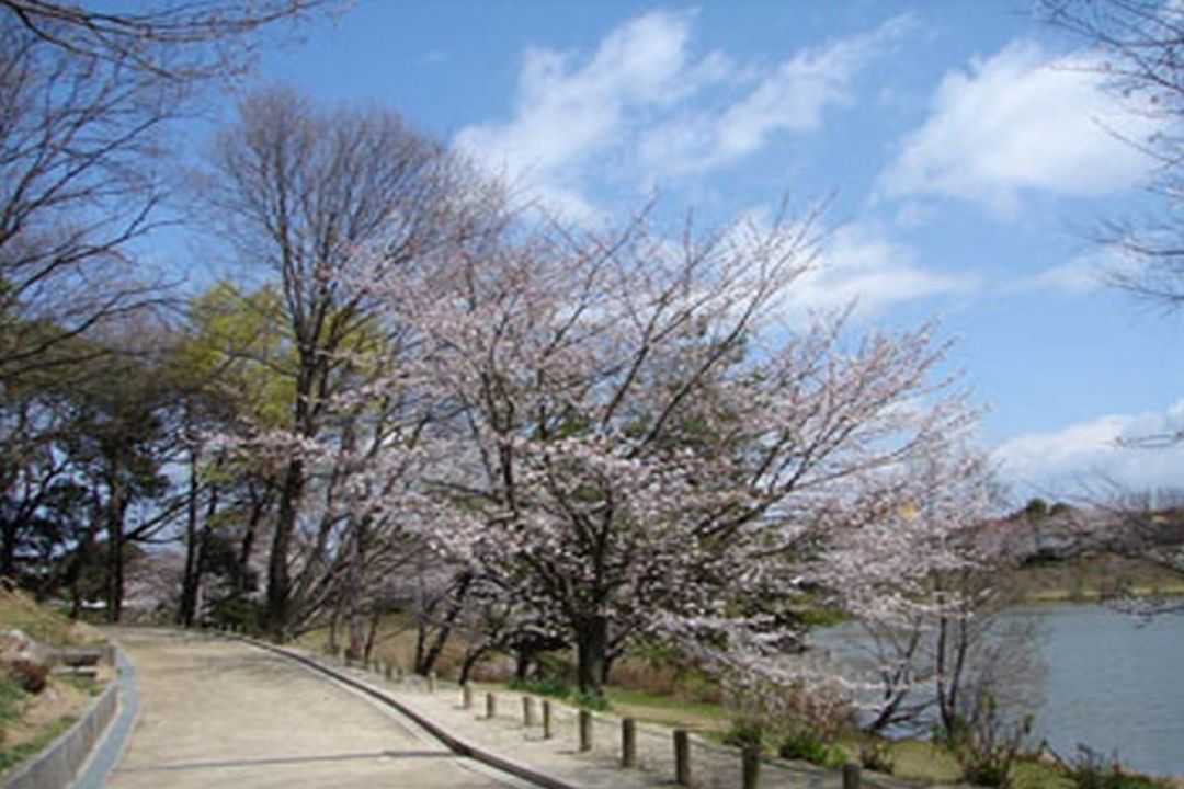 ベストライフ愛知