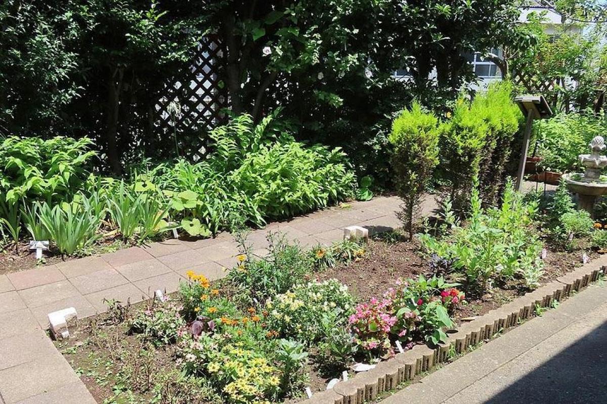 お庭の花壇