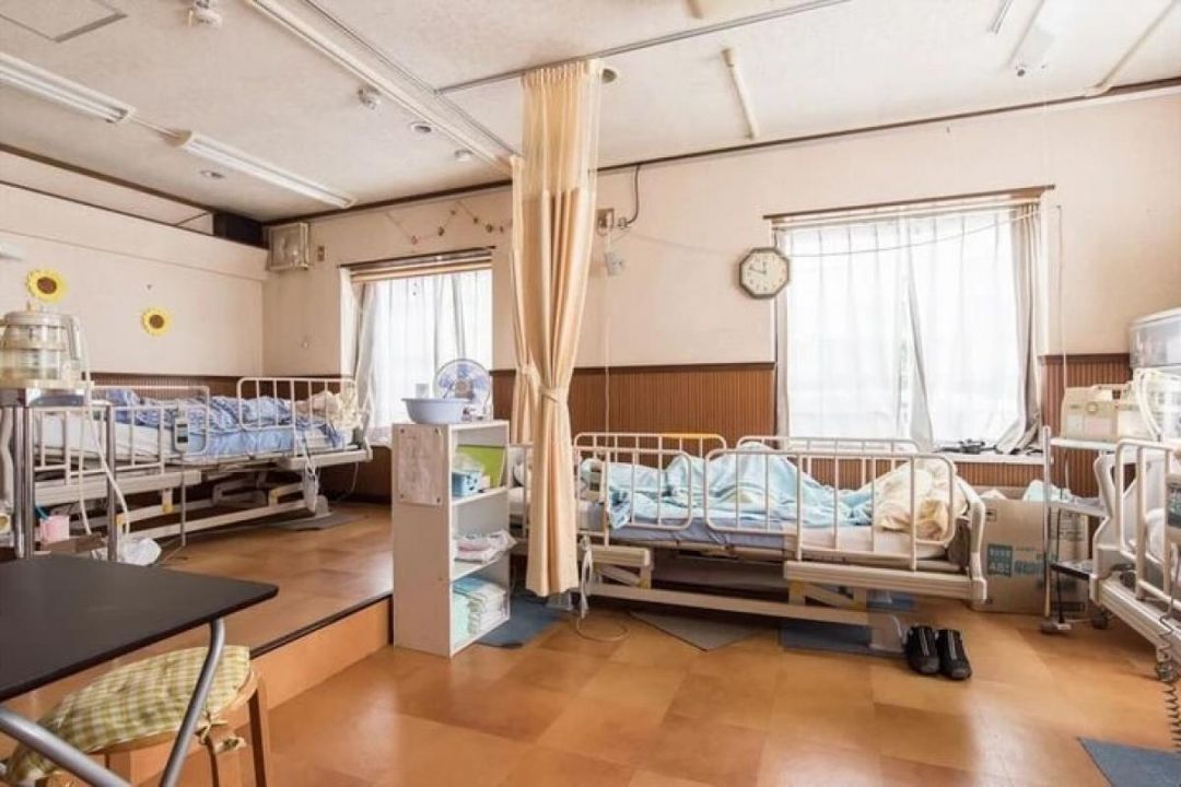 光の郷