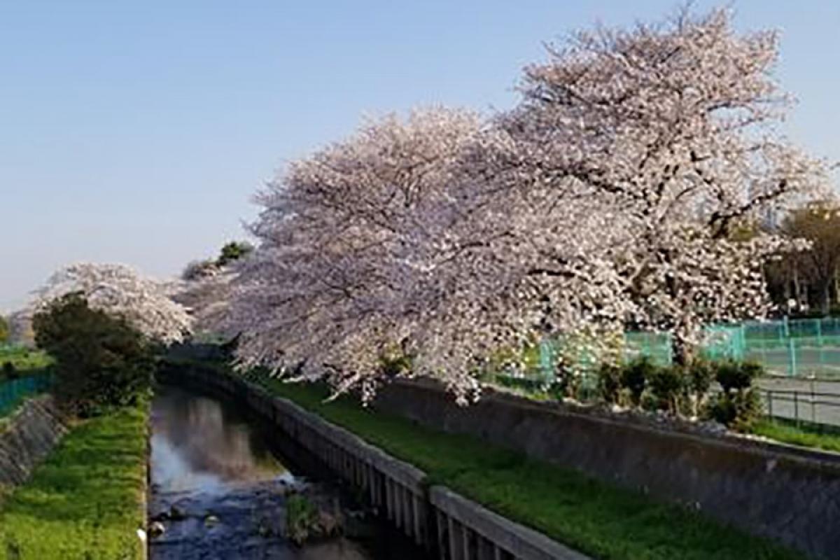 あきらめていたことが実現できる