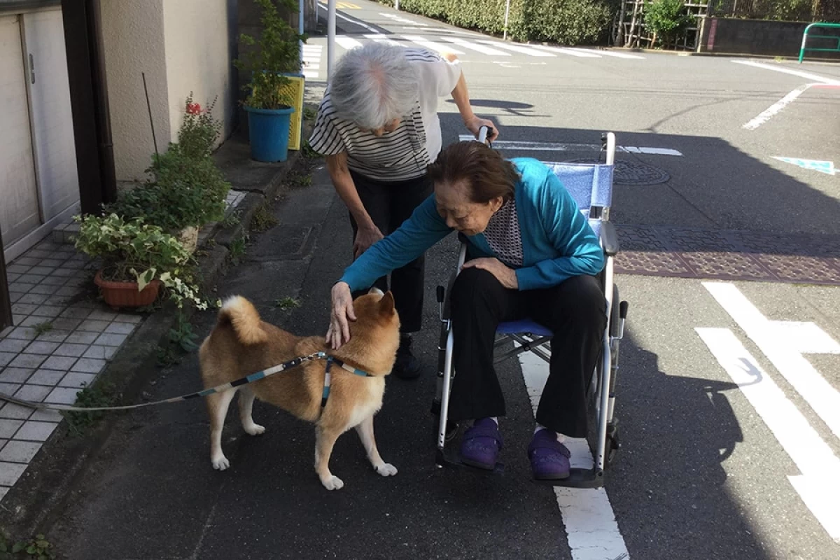 ウェルミー今川