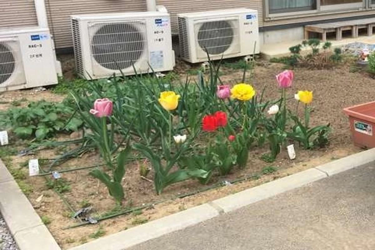 みんなの家・あきがせ