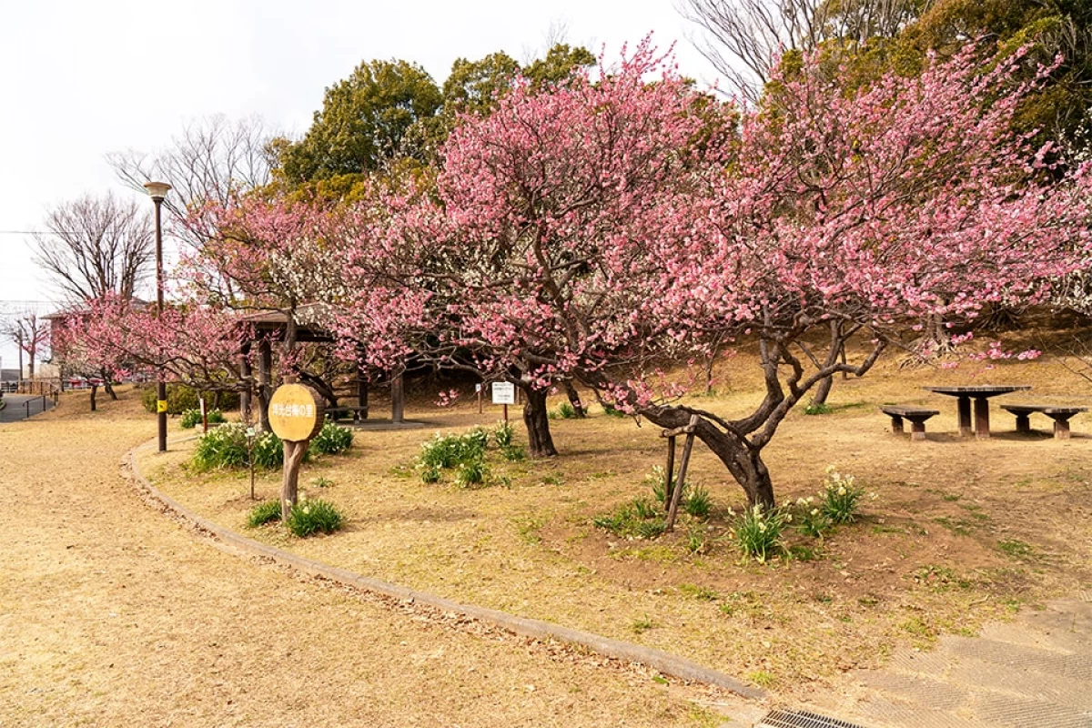SOMPOケア ラヴィーレ横浜洋光台