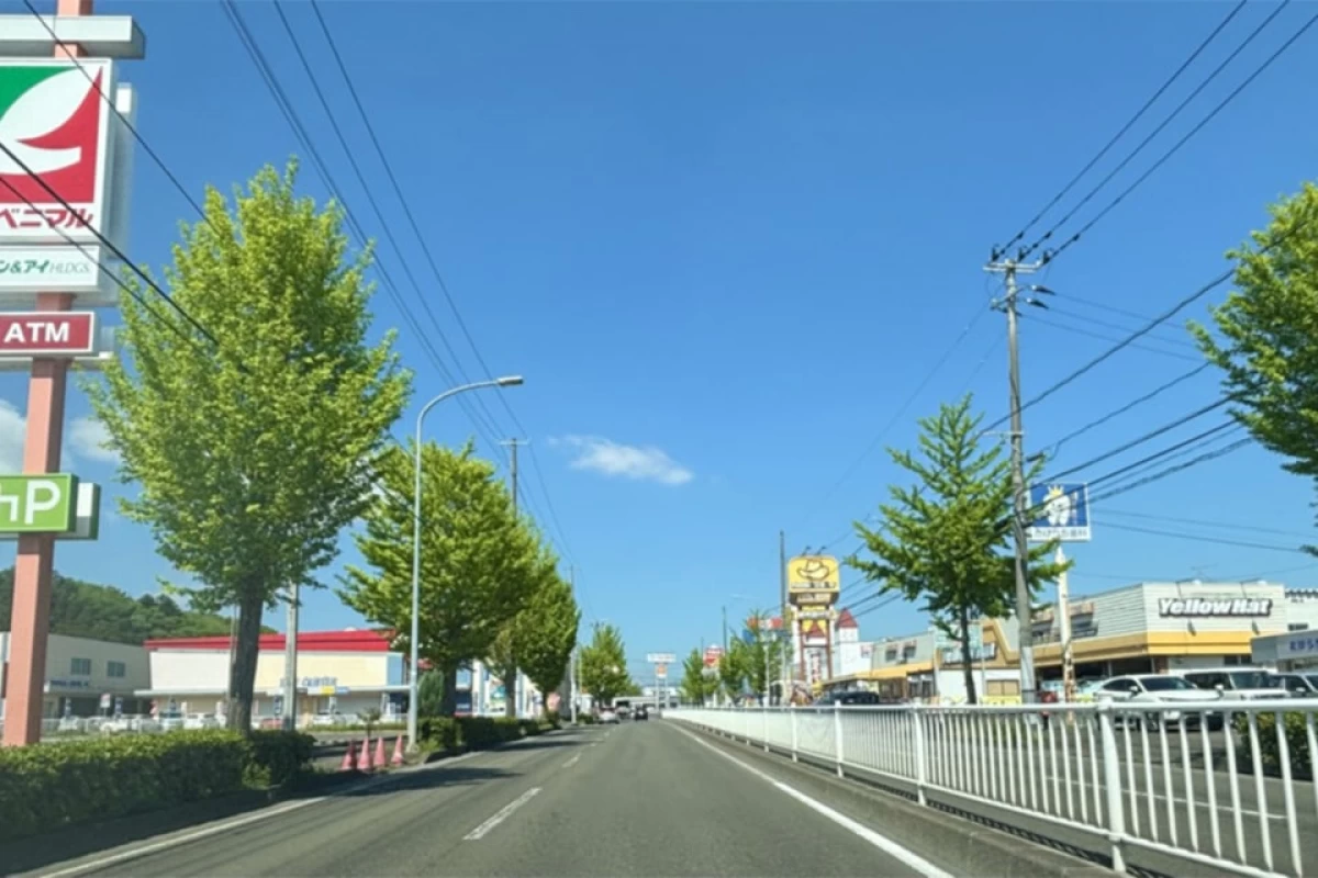 利便性と過ごしやすさを両立した周辺環境が魅力