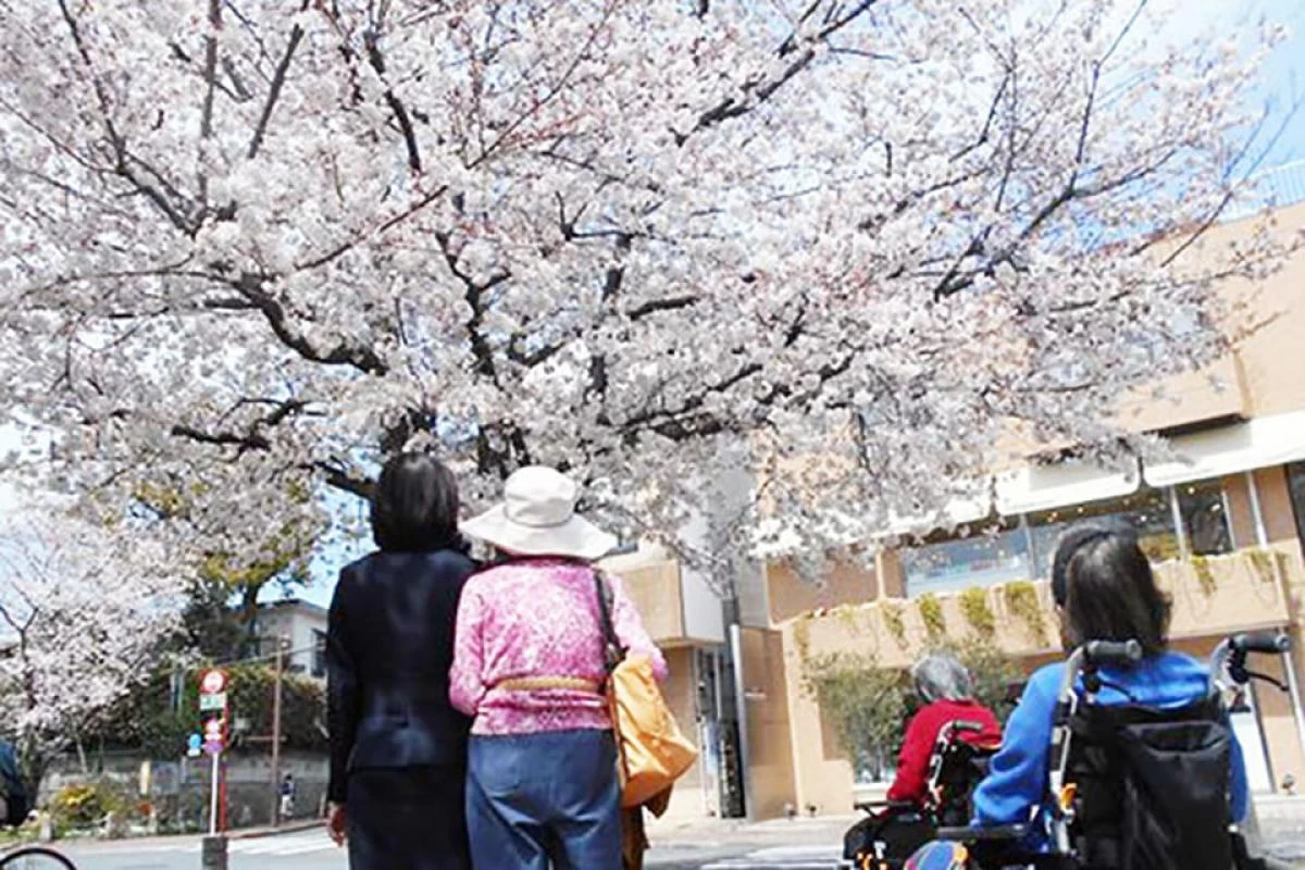 季節行事やイベントも