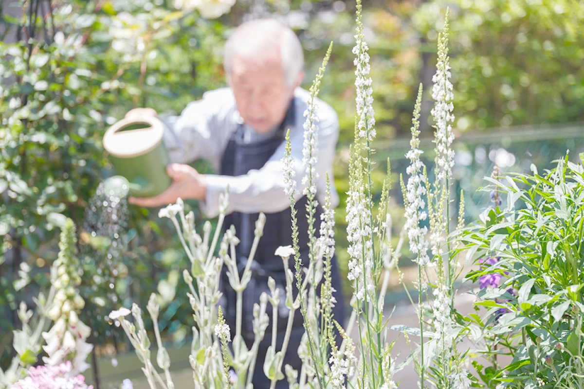 自立をサポート