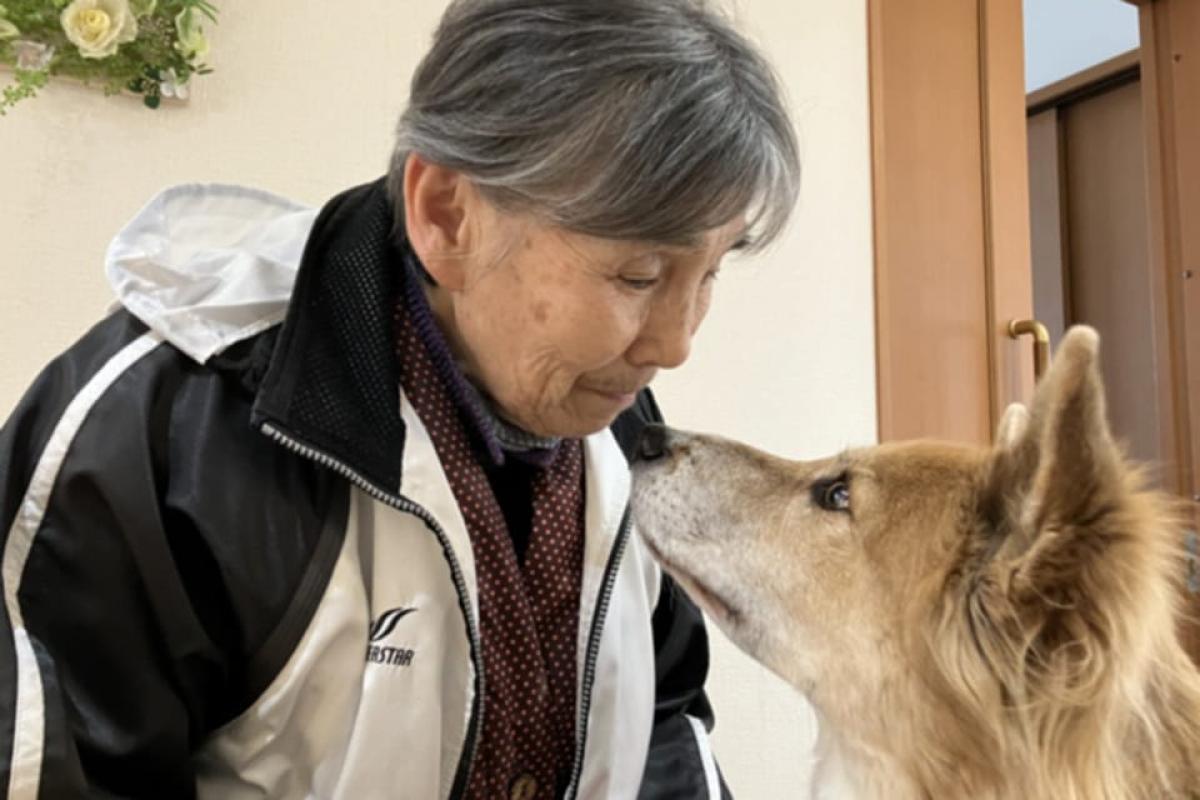 ドッグセラピー