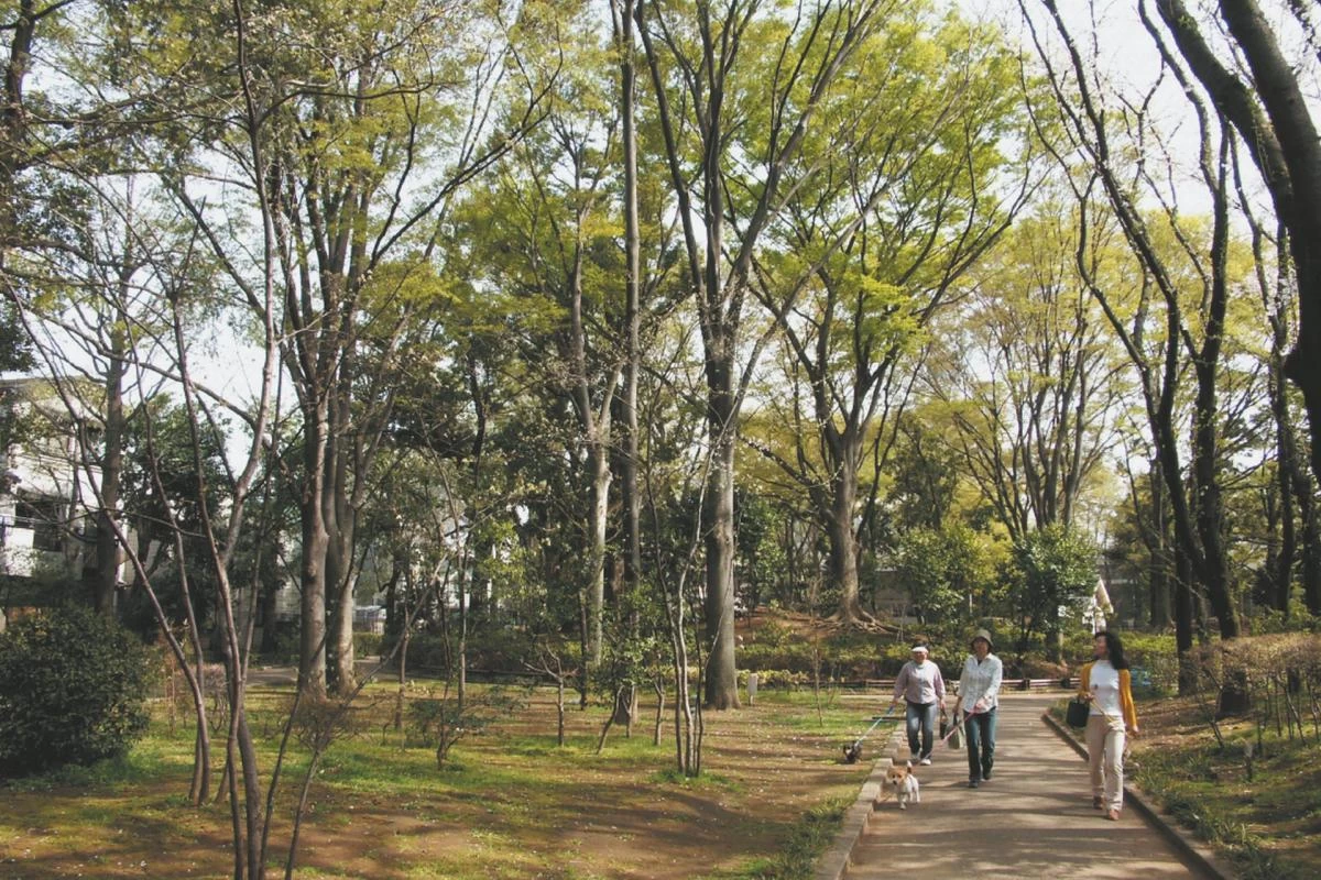 駒沢緑公園