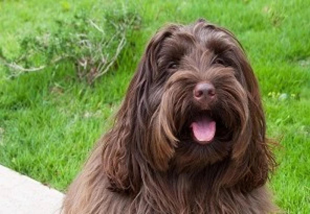 ニチイホーム八幡山のスタッフ