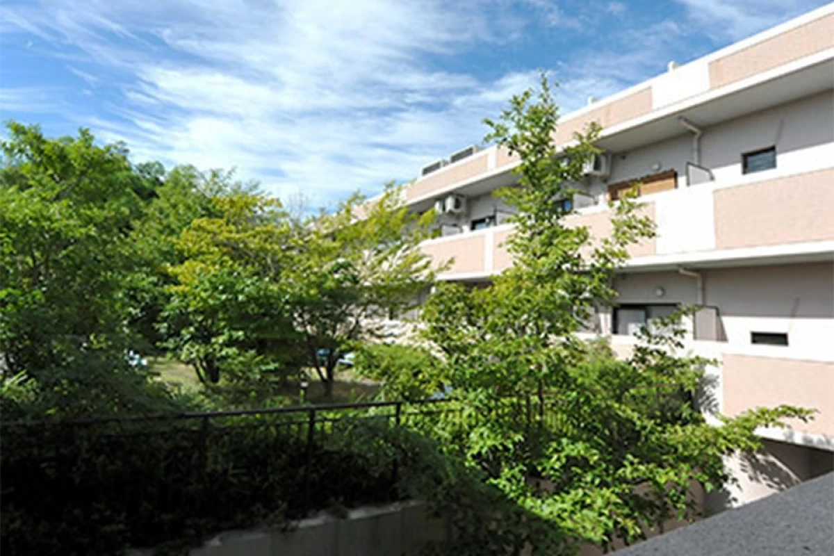 自然豊かな環境