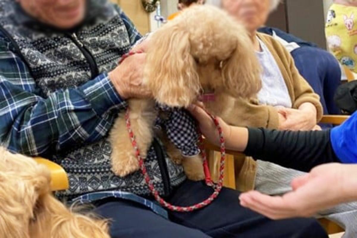 トレモンテ明日館