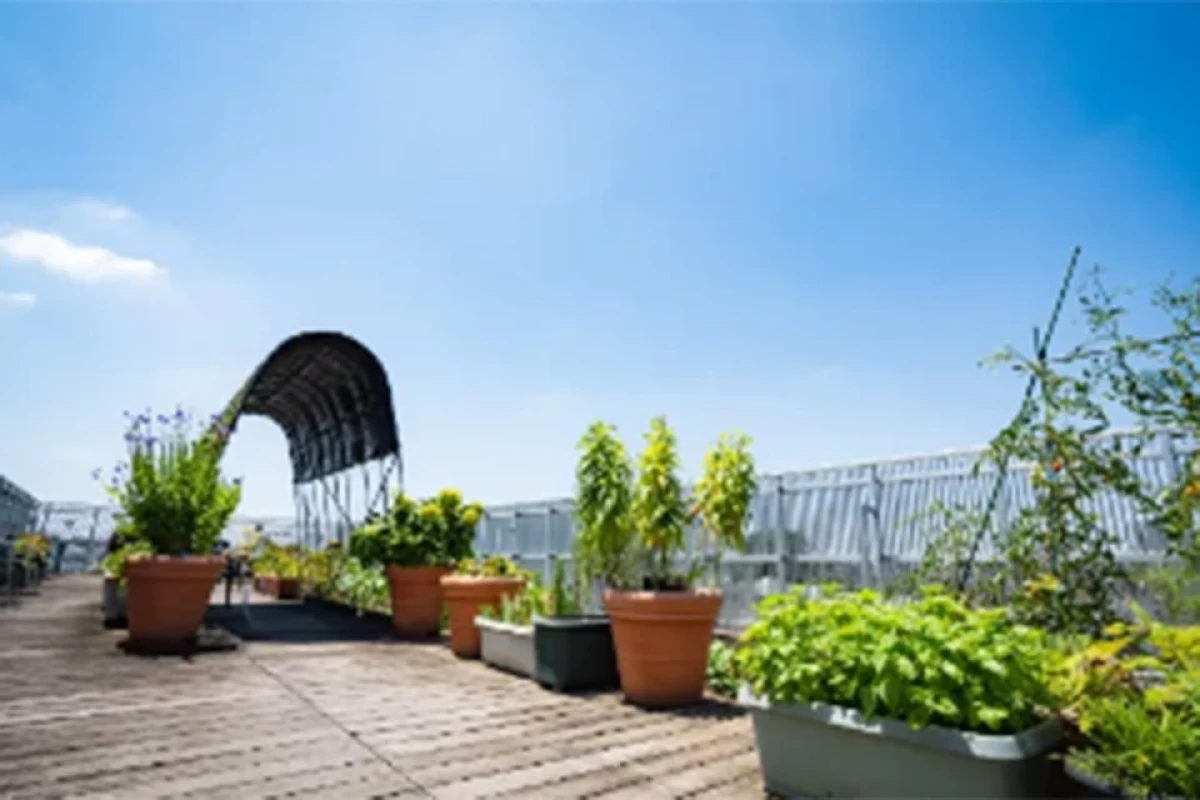 ご高齢の方が暮らしやすい住設計が魅力