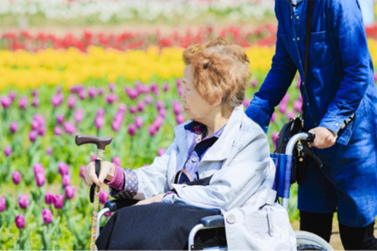 トゥルーケアGH メロン